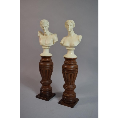 76 - A Pair of Grand Tour Type Classical Busts Supported on Carved Walnut Plinths. 38cms High