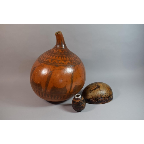 69 - A Collection of Three South American Carved Gourds, The Largest 38cm high