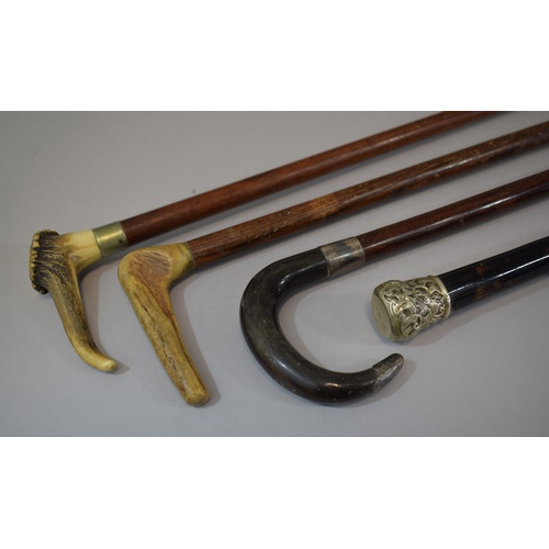 79 - A Collection of Two Horn Handled and One Bone Handled Walking Sticks Together with a White Metal Mou... 