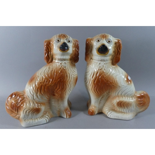 105 - A Pair of Early 20th Century Tall Ceramic Spaniels, Each 34cm high