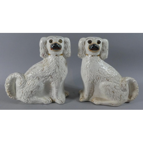 106 - A Pair of Victorian Staffordshire Spaniels with Glass Eyes, 25cm High