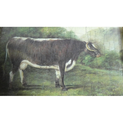 207 - A Reproduction Gilt Framed Textured Oil on Board of a Shorthorn Cow, Frame 34cm Max and Oil 16.5cm W... 