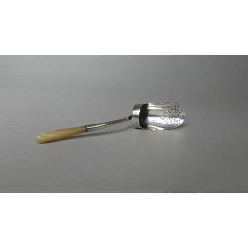 109 - An Edwardian Silver Tea Caddy Shovel with Mother of Pearl Handle and Tea Plant Engraving to Bowl, Ch... 