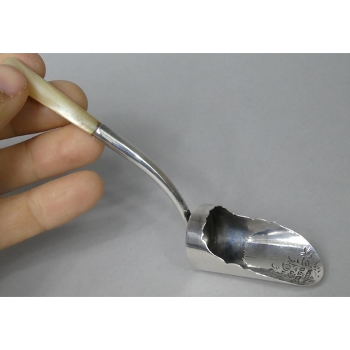 109 - An Edwardian Silver Tea Caddy Shovel with Mother of Pearl Handle and Tea Plant Engraving to Bowl, Ch... 