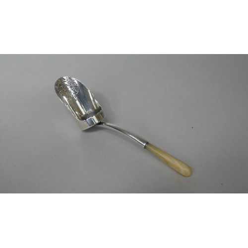 109 - An Edwardian Silver Tea Caddy Shovel with Mother of Pearl Handle and Tea Plant Engraving to Bowl, Ch... 