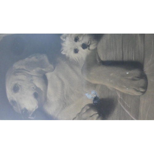 198 - After Landseer, a Maple Framed Monochrome Print 'Dignity and Impudence' Together with Another (Both ... 