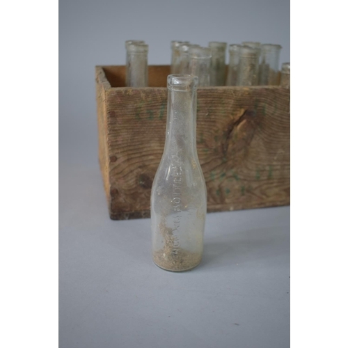 371 - A Pine Box Containing 10 Glass 'Drenching Bottles', Box 23 x 17 x 13.5cms High