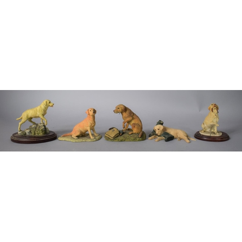 256 - A Collection of Five Resin Labrador Ornaments to Feature Arista Designs Ltd and Board Fine Arts