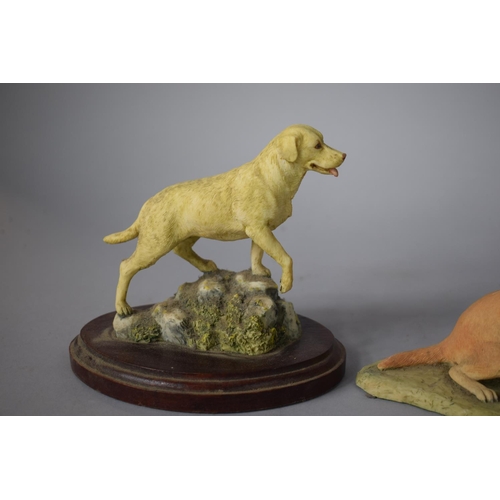 256 - A Collection of Five Resin Labrador Ornaments to Feature Arista Designs Ltd and Board Fine Arts