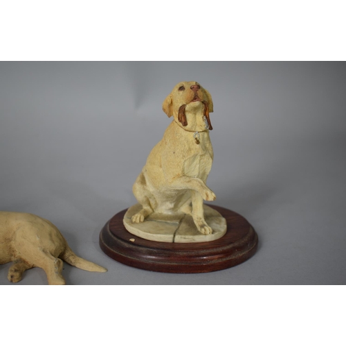 256 - A Collection of Five Resin Labrador Ornaments to Feature Arista Designs Ltd and Board Fine Arts