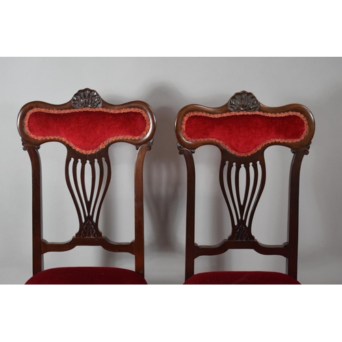 422 - A Pair of Mahogany Framed Bedroom Chairs with Shell Carving to Top Rail