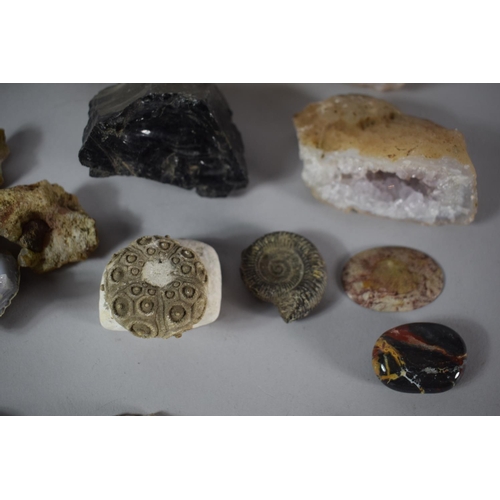 45 - A Collection of Various Mineral Samples, Fossils Etc.