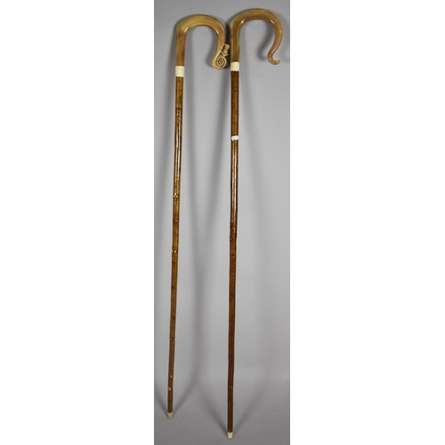 71 - Two Horn Handled Shepherd's Crooks, One with Scottish Thistle Decoration, 145cm Long