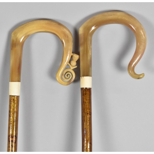 71 - Two Horn Handled Shepherd's Crooks, One with Scottish Thistle Decoration, 145cm Long