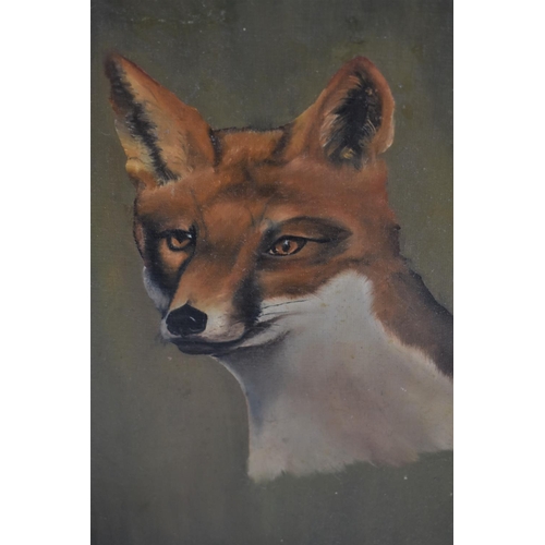 127 - A Gilt Framed Oil on Board Depicting Fox, Signed N Middler, 29cm high