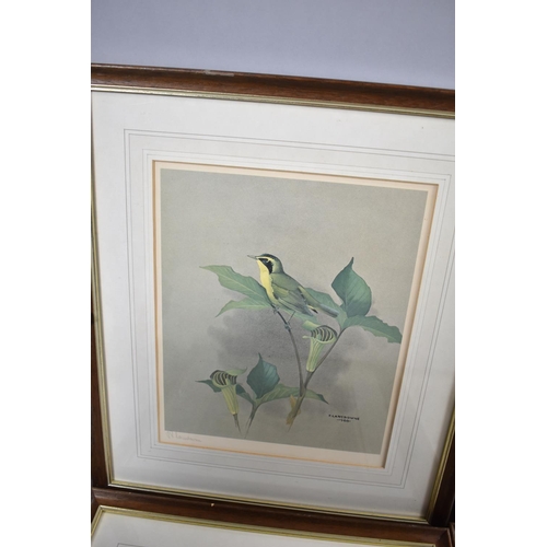 139 - A Set of Four Framed Prints of Birds After F Lansdown and Signed by the Artist, Each 31.5cm high