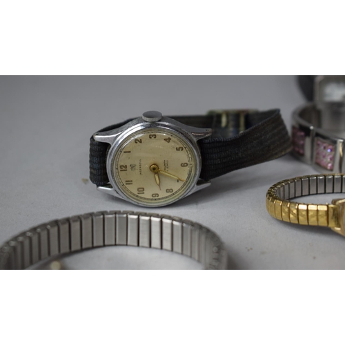 229 - A Collection of Modern Wrist Watches