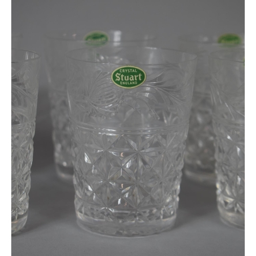 254 - A Collection of Stuart Crystal Mansfield Pattern Tumblers, 22 in Total