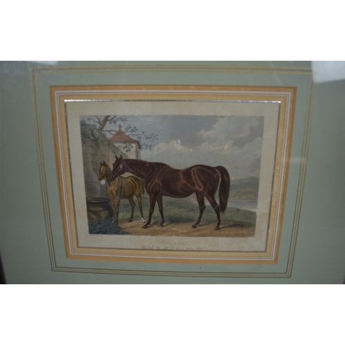 270 - Two Framed Prints Depicting Horses