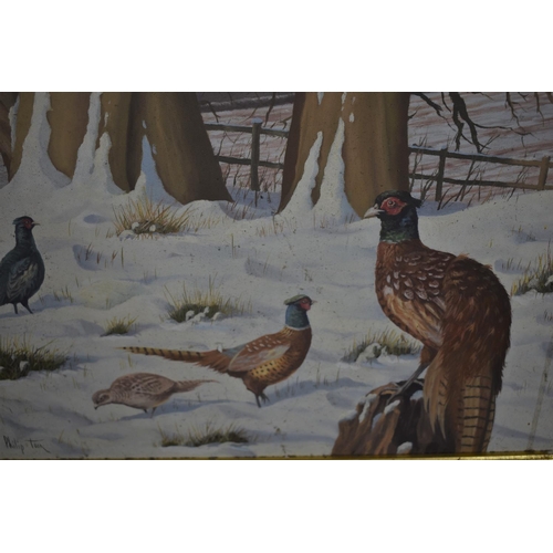 286 - A Framed Oil on Canvas Depicting Pheasants in Winter Signed Philip Toon, 59.5cm Wide