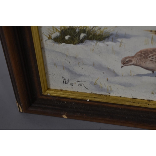 286 - A Framed Oil on Canvas Depicting Pheasants in Winter Signed Philip Toon, 59.5cm Wide