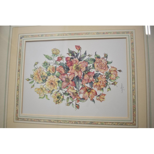 441 - A Set of Six Gilt Framed Botanic Prints, the Frames with Ribbon and Bow Mounts, 52cm high