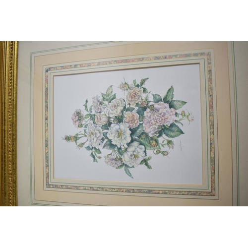 441 - A Set of Six Gilt Framed Botanic Prints, the Frames with Ribbon and Bow Mounts, 52cm high