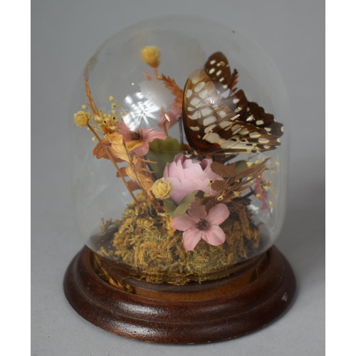 78 - A Small Butterfly Diorama Under Glass Dome, 12cm high