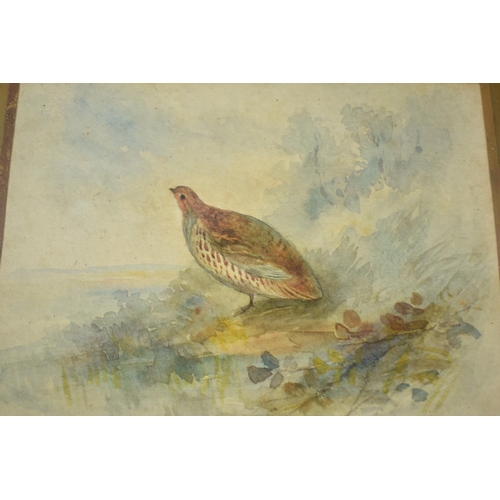 67 - A Gilt Framed Watercolour of a Partridge, 13.5cm Wide