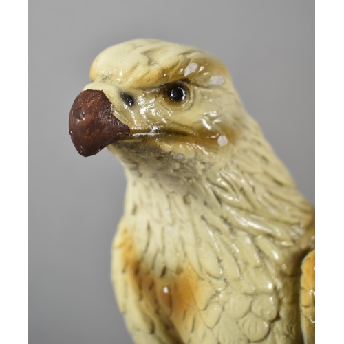 70 - A Plaster Study of an Eagle on Rock, Some Chips and Nicks, 37cm high