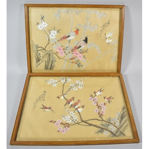 98 - A Pair of Chinese Paintings on Silk Depicting Birds and Blossom, Both Signed, 38cm wide