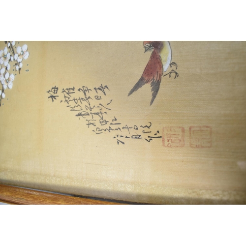 98 - A Pair of Chinese Paintings on Silk Depicting Birds and Blossom, Both Signed, 38cm wide