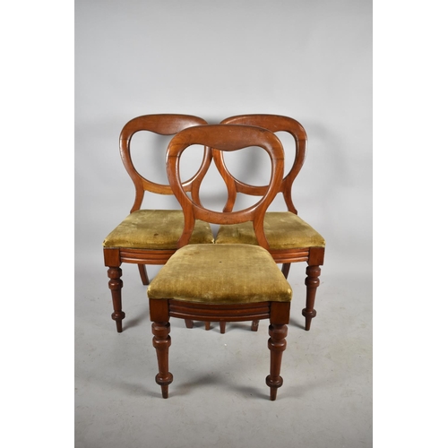 561 - A Set of Three Mahogany Late Victorian Balloon Back Dining Chairs