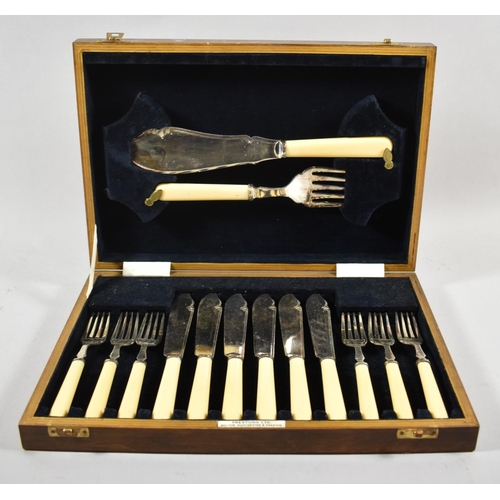 73 - A Cased Bone Handled and Silver Plated Set of Six Fish Knives, Forks and Servers