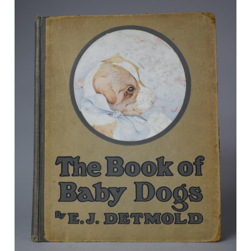 332 - A Bound Volume of The Book of Baby Dogs Illustrated by E J Detmold and Descriptions by Charles Kaber... 