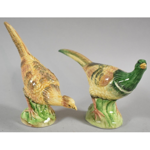 371 - A Novelty Ceramic Cruet in the Form of Hen and Cock Pheasants, 20cm Long