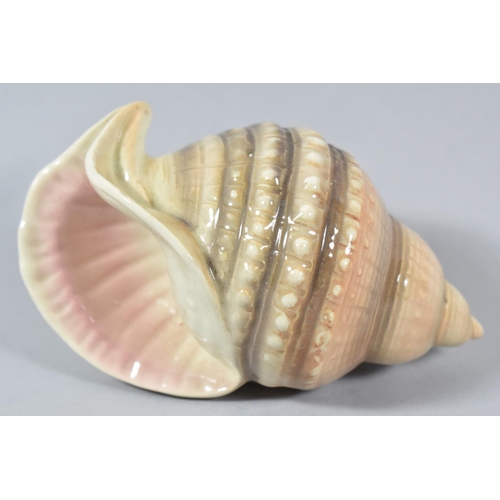 394 - A Goebel Wall Pocket in the Form of a Conch Shell, 14cm Long