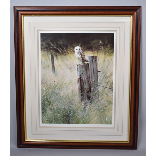 288 - A Framed Limited Edition Steven Townsend Print, 