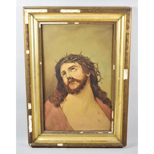 300 - A Framed Oil on Card, Jesus with Crown of Thorns, 45cm, high