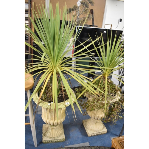 447 - A Pair of Reconstituted Stone Garden Urns, with Plants, Each 62cm high