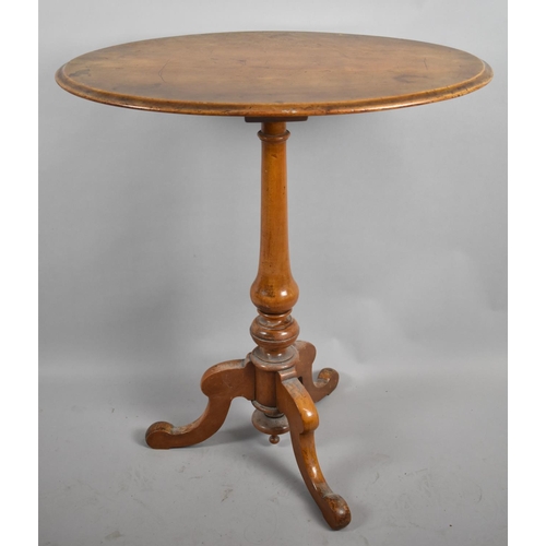 507 - A Late 19th Century Oval Topped Walnut Tripod Table, 65cm wide