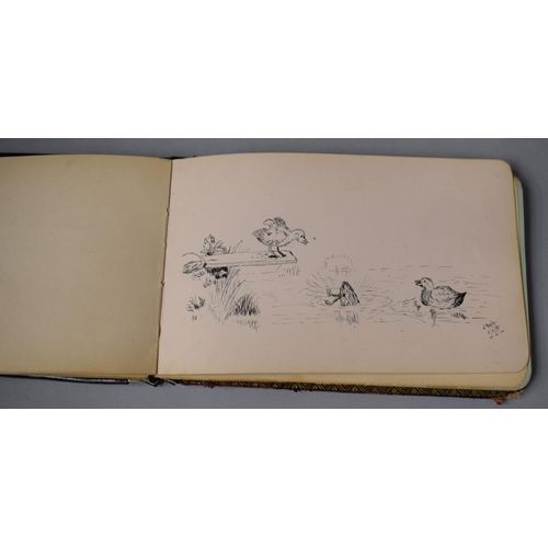 102 - A Late 19th/Early 20th Century Autograph Book Containing Drawings, Watercolours Etc, Together with a... 