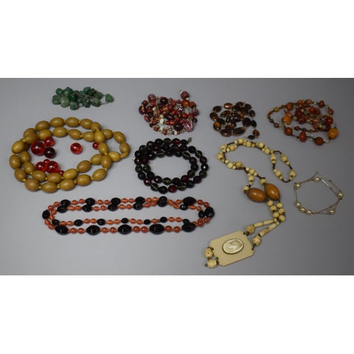 127 - A Collection of Various Necklaces to Include Amber and Amber Style Beads, Glass, Yellow Metal and Ea... 