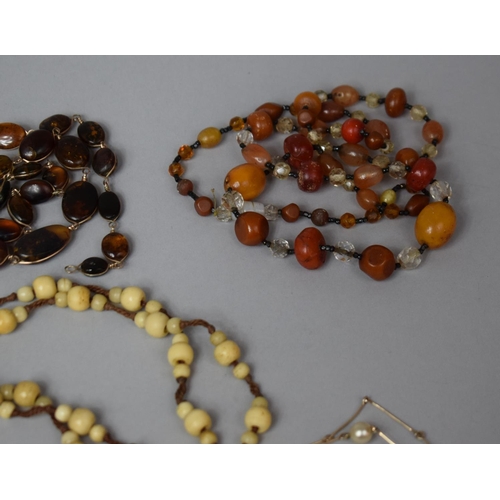 127 - A Collection of Various Necklaces to Include Amber and Amber Style Beads, Glass, Yellow Metal and Ea... 