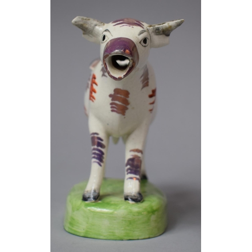 267 - A 19th Century Cow Creamer, Restored