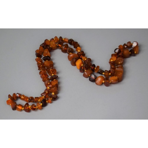 303 - An Amber Chip Necklace, 68.3gms.