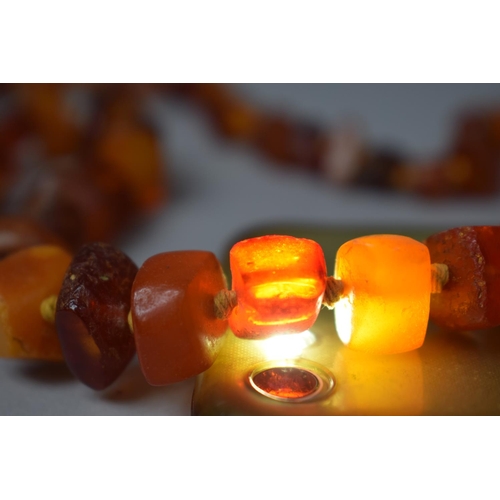 303 - An Amber Chip Necklace, 68.3gms.