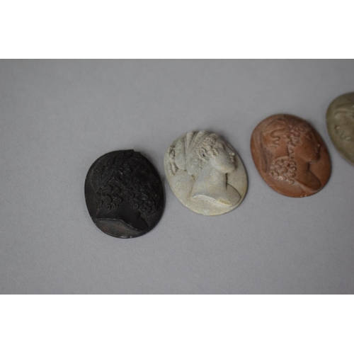 307 - A Collection of Lava and Shell Carved Cameos