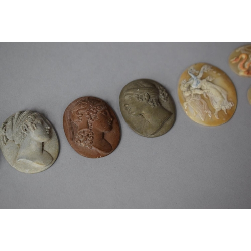 307 - A Collection of Lava and Shell Carved Cameos