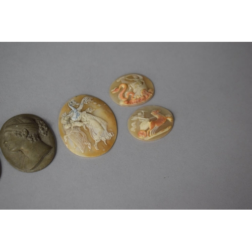 307 - A Collection of Lava and Shell Carved Cameos